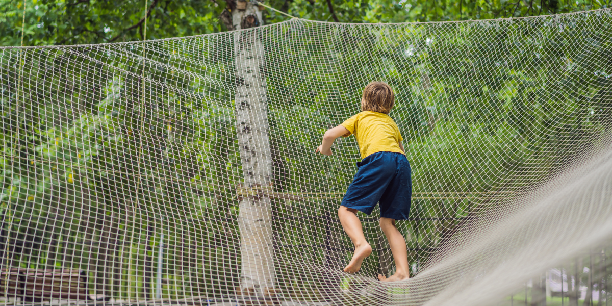 Net Adventure (19).png